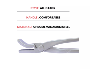 Herramientas para el Cuidado de Pezuñas, Pinza para Clavos de Pezuña de Cocodrilo de 13 Pulgadas, Reutilizable, Quirúrgica, Veterinaria, para Caballos, Hecha a Mano, Herramientas de Herrador - Product Image 3