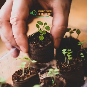 Venta al por mayor de pellets de fibra de coco D35mm D42mm, discos de germinación de semillas, pastillas de turba de coco biodegradables Jiffy, Eco2Go Vietnam para plantación en jardín - Product Image 2