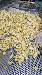 Mejor Precio, Mango Deshidratado Congelado Tropical en Rodajas, Fruta Natural Dulce Premium de Vietnam para Merendar, Hornear y Usos Creativos - Product Image 6