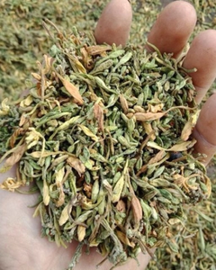 Fleur de papaye séchée naturellement – Matière première sélectionnée avec un processus de transformation conforme aux normes d'exportation - Product Image 5