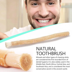 ไม้จิ้มฟันธรรมชาติแบบสุญญากาศ PEELU MISWAK/SEWAK/SIWAK ช่วยทำความสะอาดฟัน กำจัดเชื้อโรค/แบคทีเรีย ได้รับการรับรองจาก PCSIR  ยี่ห้อ PK Custom Brand - Product Image 5