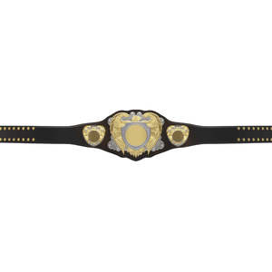 Cinturón de Campeonato Personalizado Ronpex International RI-2605 para Lucha Libre y MMA, con Placas de Zinc y Cuero, Cinturón de Artes Marciales Suave - Product Image 1