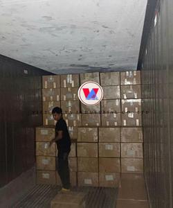 Avocat surgelé IQF du Vietnam |   Goût onctueux |   OEM et marque privée disponibles |   Marque Viet Delta |   Durée de conservation de 12 mois |   5 tonnes MOQ - Product Image 2