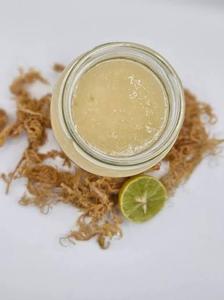 Gel de Musgo Marino Puro y Natural, Orgánico, Recolección Salvaje, Lote Fresco, Suplemento de Grado Alimenticio, Venta al Por Mayor - Product Image 5