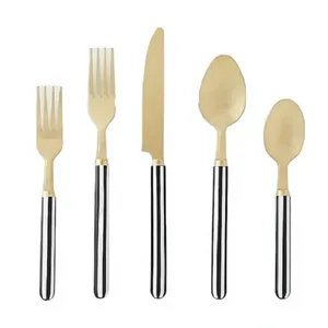 Ensemble de couverts en acier inoxydable plaqué or de la meilleure marque indienne, avec manche en résine, pour la maison, l'hôtel, le restaurant, vaisselle de table - Product Image 1