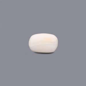 Natural White Coral Loose Gemstone 3.45 Carat Oval Cabochon Faceted Cut Color Change 3mm Certified Wholesale - Product Image 2