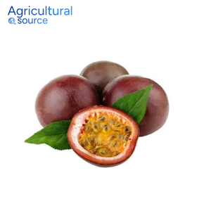 Fruta de la Pasión premium-Deliciosa Jugosa Nutrición rica orgánica Fruta de la Pasión fresca tropical-Para postre-De la fábrica de Vietnam - Product Image 1