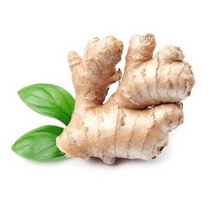 Prix direct usine, Vente chaude, Meilleure qualité, Vente en gros, Qualité exceptionnelle, Gingembre frais en vrac, Gingembre frais biologique, Légume frais en vrac - Product Image 1