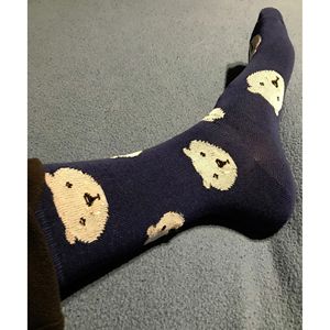 Calzini sportivi casual da uomo, 6 paia, con motivo colorato Rainbow Harmony - Product Image 4