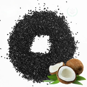 Charbon actif granulaire de qualité supérieure à base de coque de noix de coco pour la filtration de l'eau industrielle et le traitement de l'eau potable en Inde - Product Image 1