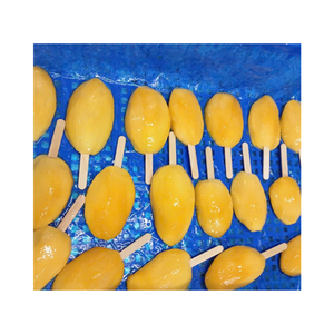 เนื้อมะม่วงแช่แข็งสำหรับผู้ผลิตน้ำผลไม้และสมูทตี้ โรงงานเวียดนาม - Product Image 5
