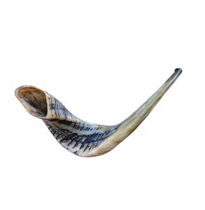 Shofar en corne de bélier naturelle fait main, corne courbée pour la cérémonie religieuse juive, instrument de culte traditionnel, corne musicale - Product Image 3