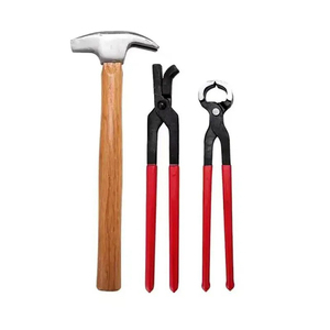 Juego de 8 piezas de herramientas para reparar herraduras, juego de clavos para herraduras - Product Image 4