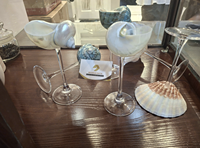 Copa de Concha Marina Premium con Tallo de Vidrio Pulido para Uso en Restaurantes y Bares, Origen Vietnam