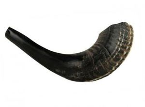 Shofar de cuerno de carnero - Product Image 3