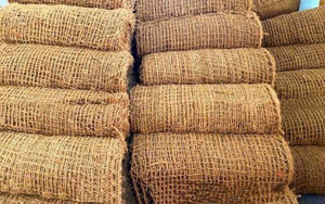 Filet en fibre de coco haute résistance pour le contrôle de l'érosion et les projets de révegetation - Product Image 6