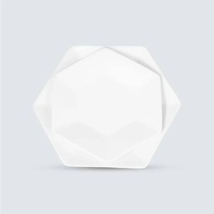 High Demand 7 Inch Hexa Bagasse Moulded Eco-Friendly Compostable <b>Disposable</b> <b>Plate</b> Tableware for Commercial Food Service - Product Image 1