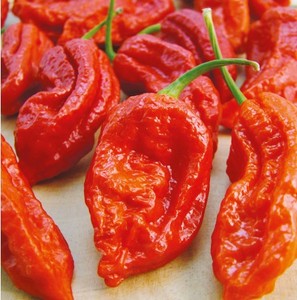 Pimientos Ghost Pepper Chiles Bhut Jolokiya de la India con Etiqueta GI, Totalmente Rastreables, Cápsulas Secas al Aire, Alto Contenido de Capsaicina, SHU 1000000+ - Product Image 1