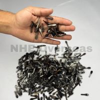 Monture de lunettes moderne et de collection en corne de buffle marron moyen, faite à la main, durable, composants naturels, NHE Overseas