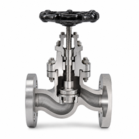 Vanne à opercule manuelle J41H CF8M Classe 300 pour applications industrielles pétrolières et gazières avec corps en acier inoxydable