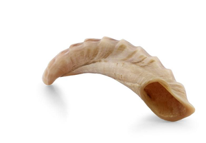 Grand Shofar traditionnel en corne de buffle, instrument sculpté avec motif d'amour - Product Image 3