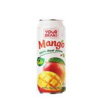 Groothandel 500ml Versgeperste Mango Puree Sap Met Vruchtvlees Echt Sap Laag in Vet Vietnam Drank