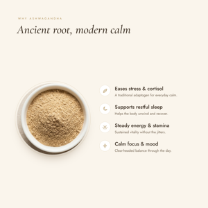 Poudre de racine d'Ashwagandha en vrac, Withania Somnifera, 100% pure et naturelle, poudre d'herbes, fabricant et fournisseur indien - Product Image 3