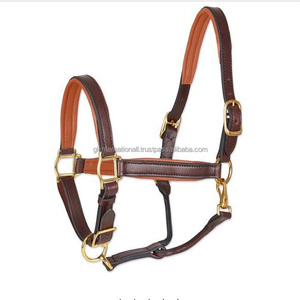 Cuir de cheval confortable et de haute qualité, col licou, vente en gros, raccords en laiton anti-rouille, 9 pièces - Product Image 6
