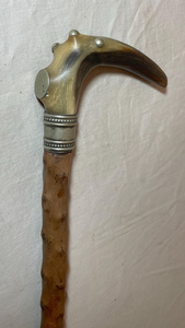 100% Natural Buffalo Horn Walking <b>Stick</b> Handle Handmade <b>Ram</b> Horn Handle Grip for Natural Walking Wooden Cane - Product Image 3