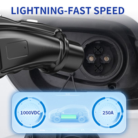 Nouvel adaptateur CCS2 vers CHAdeMO 250A 1000V DC Charge rapide CE TUV FCC IP54 Étanche Mise à niveau du micrologiciel possible Station de recharge pour véhicules électriques