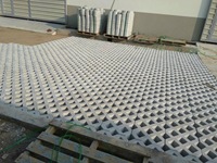 Moule en plastique PP directement de l'usine pour n° 8 pavés en béton pour pelouse