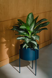 Macetero Metálico Azul Marino Moderno con Soporte Alto, Maceta Minimalista para Interiores y Exteriores, para Hogar, Jardín, Balcón, Patio Contemporáneos - Product Image 3