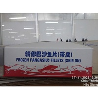 Pangasius Congelé du Vietnam IQF 10-12cm Grade 24 Mois Filets de Poisson avec Peau A/B Emballage en Vrac Fruits de Mer