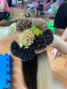 Extensión de cabello de punta en Bamboohair en Vietnam con alta calidad y colores completos - Product Image 6