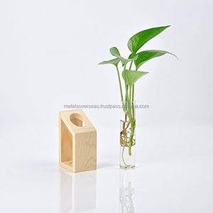 Pot de fleurs en bois sculpté à la main de style européen, terrarium pour plantes hydroponiques, décoration de jardin d'intérieur - Product Image 2