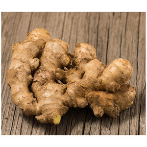 Gingembre frais de haute qualité pour la vente en gros, gingembre frais professionnel pour l'exportation, gingembre jaune 100% naturel, meilleur prix disponible - Product Image 4