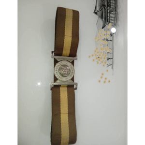 Ce ceinture de cérémonie présente une sangle tressée argentée accentuée par deux rayures vertes distinctes. Ceinture Stable. - Product Image 3