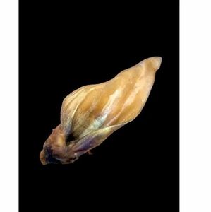 Corne de buffle faite à la main, riche en protéines, forme naturelle, longue durée de conservation, décoration d'intérieur et cadeau d'affaires - Product Image 1