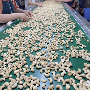 Vietnam Trusted Supplier Vietnam Cashew <b>Nuts</b> Wholesale Ww180, Ww210, Ww320 Tanzania Cashew <b>Nuts</b> Exported To Asia, Middle East - Product Image 1