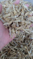 TENDANCES ACTUELLES Anchois séchés salés, collation marine pour garniture croustillante, source de calcium et de nutriments, qualité supérieure, produits de la mer 2026