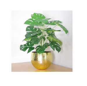 Macetas y macetas de diseño de doble Tema, decoración interior pintada, diseños de acabado, plantador de planta verde - Product Image 1