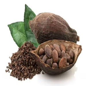 Fèves de cacao de qualité supérieure, vente en gros, approvisionnement en vrac, prêtes à être expédiées, produit d'exportation de haute qualité - Product Image 1