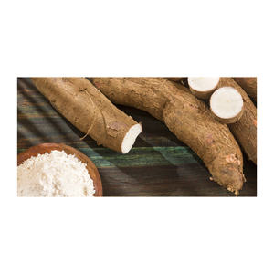 Almidón de yuca premium para compradores mayoristas, distribuidores, minoristas y mercados internacionales - Product Image 2