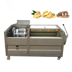 Easy Operation Potato Root Vegetable Brush Washing Machine Carrot Ginger Washing Machine