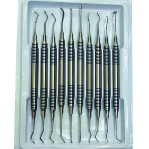 Juego de 10 Herramientas Dentales para Eliminar el Sarro y la Higiene Bucal, Kit de 10 Piezas de Acero Inoxidable para Limpieza Oral - Product Image 1