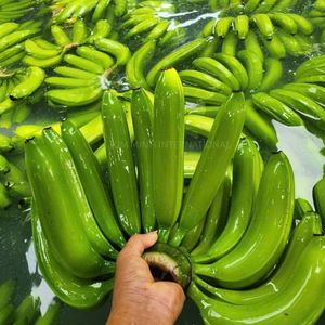 Bananes Cavendish vertes fraîches de haute qualité en provenance du Vietnam - Product Image 2