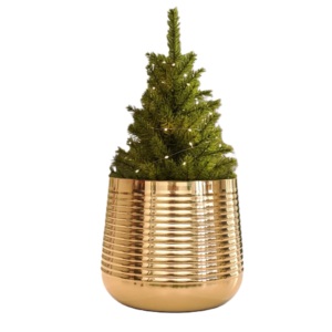 Nouvelle Arrivée : Pot de Fleurs Moderne en Fer Galvanisé Naturel Côtelé pour Décoration de Jardin - Product Image 2
