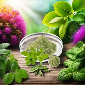 Poudre d'extrait organique de bacopa de qualité alimentaire pure 100% meilleur extrait de plantes de Bacopa Monnieri - Product Image 3