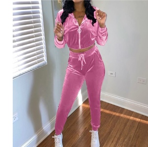 Custom Logo top quality women 2021 winter fashion velour two piece set long sleeve crop top zipper hoodie & velvet joggers - Product Image 3