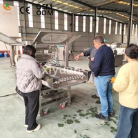 Automatische machine voor het vriesdrogen van kokoschips met chocoladecoating en koeltunnel met lage temperatuur voor fruitvoedingsfabrieken
